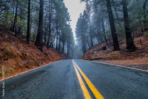 road in autumn forest