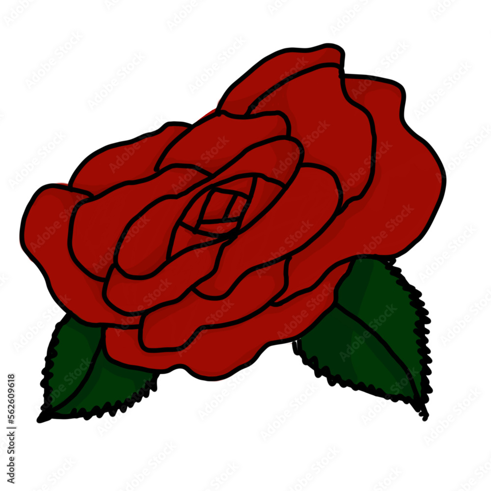 Fototapeta premium illustration of red rose