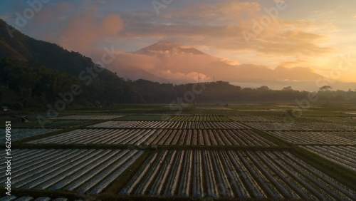 Aerial view of some agricultural fields in Sembalun. Sembalun is situated on the slope of mount Rinjani and is surrounded by beautiful green mountains. Sembalun, Lombok, West Nusa Tenggara, Indonesia.