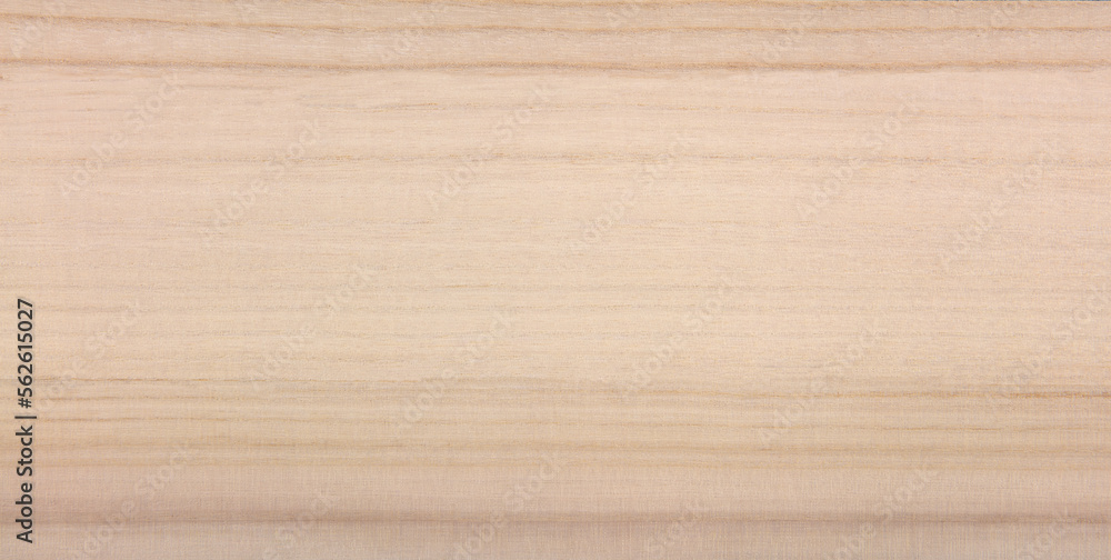 Paulownia (Paulowniaceae) wood texture. High resolution, Sharp to the corners. A wood commonly used for it's light weight properties and resonant character.