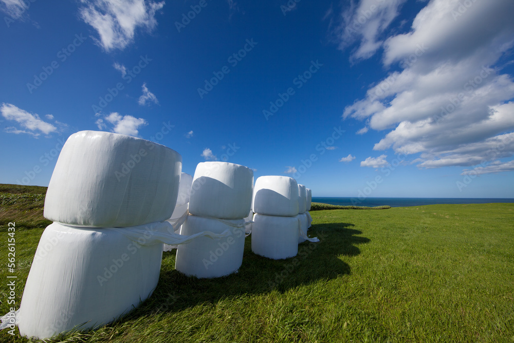 Summer ranch landscape with grass rolls Summer ranch landscape with grass rolls