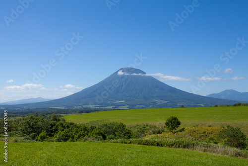 Mount Yotei and autumn meadows