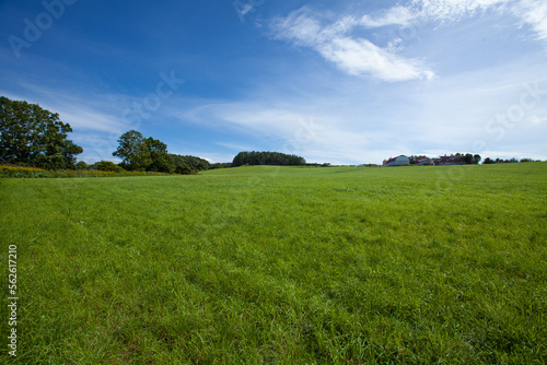 Autumn hills and sky with meadows