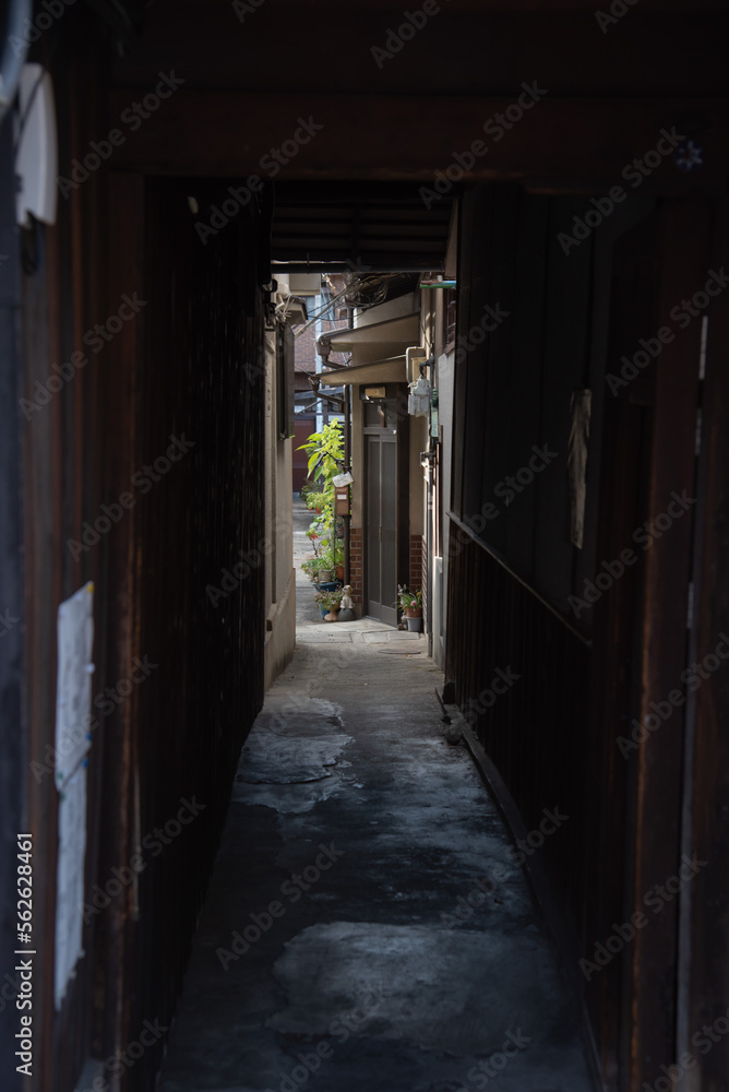 Fototapeta premium 脇道