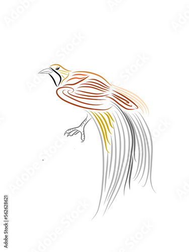 illustration of a bird