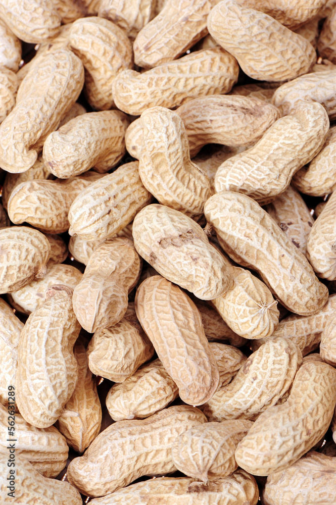 Peanut background Peanut background