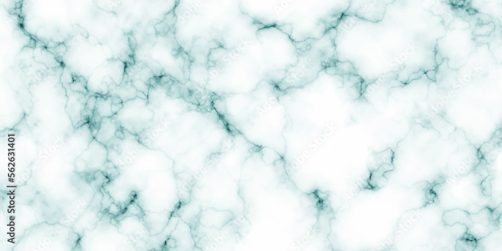 	
White and blue marble texture panorama background pattern with high resolution. white and blue architecuture italian marble surface and tailes for background or texture.	
