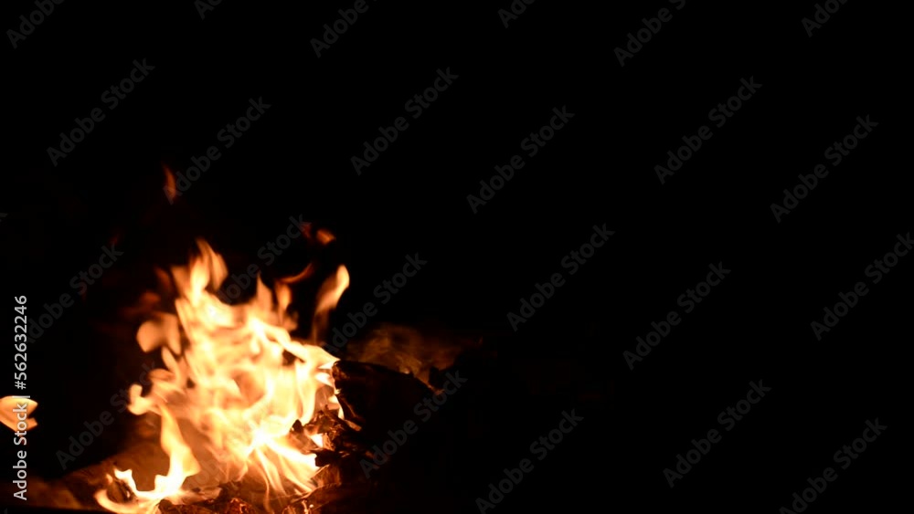 burning fire in the forest and smoke fire and dark black background burning fire in the forest and smoke fire and dark black background