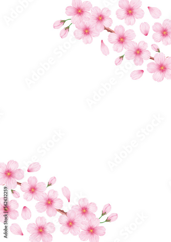 春の美しい桜のフレーム背景素材