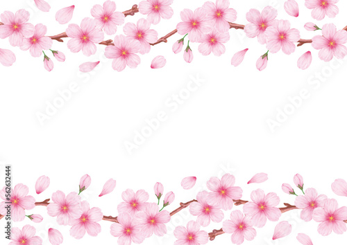 春の美しい桜のフレーム背景素材