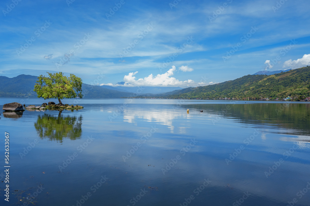 Landscape of lake with tree and mountains