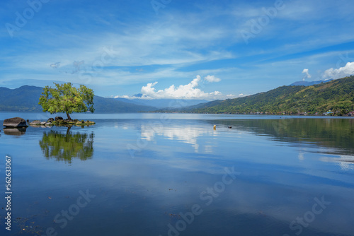 Landscape of lake with tree and mountains