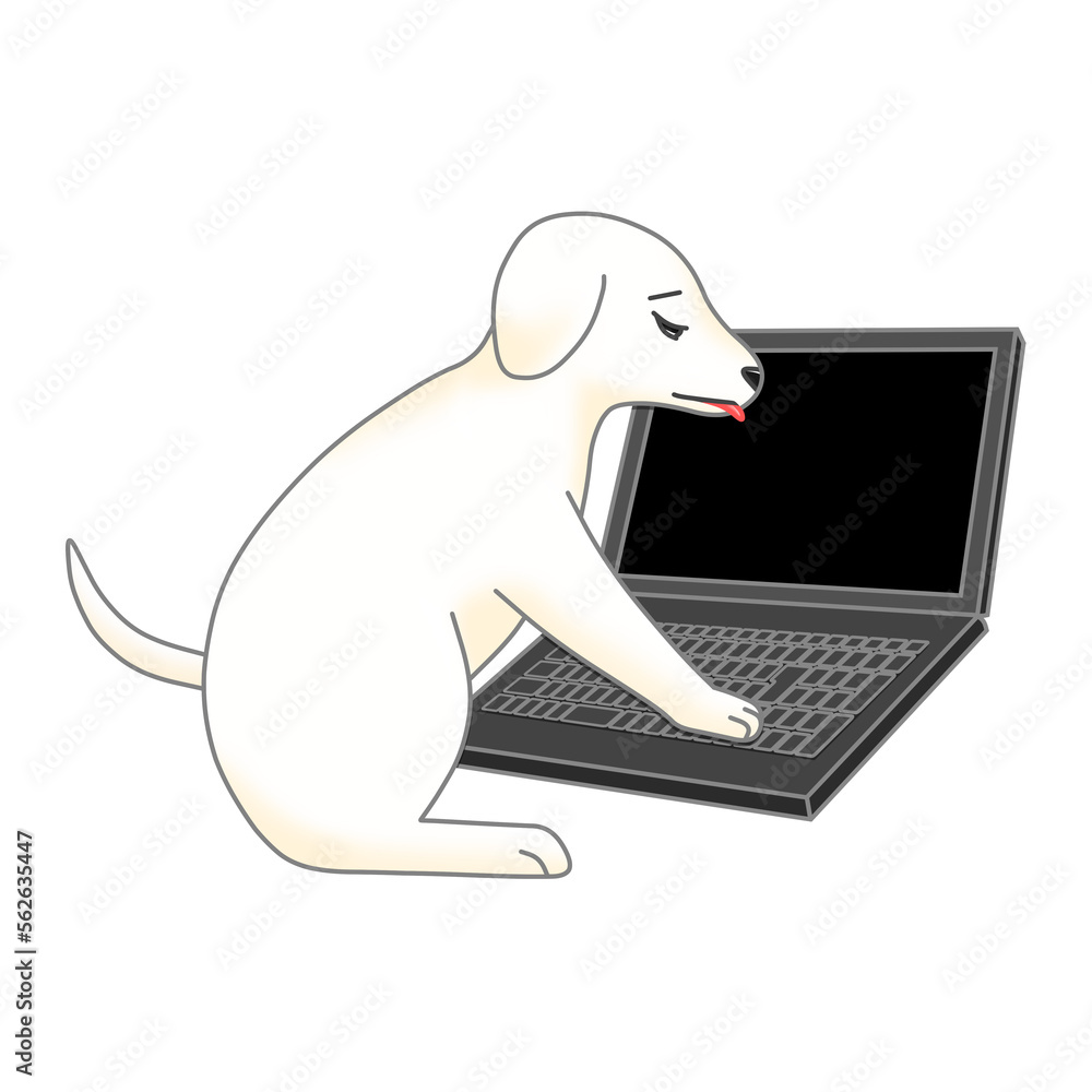 Obraz premium 困っている白色の仔犬と黒色のノートパソコン