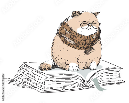 A sad fat cat in glasses and a warm knitted scarf sits on an open book and sleeps. A kitten with closed eyes is bored and cold. Vector sketch, pencil drawing