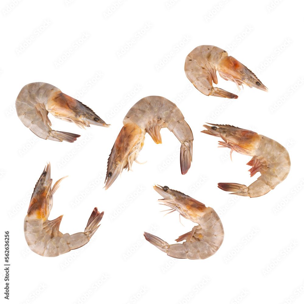 shrimp fresh isolated on white background shrimp fresh isolated on white background
