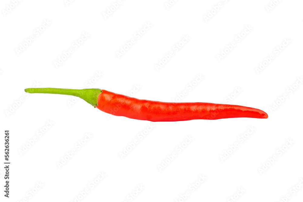 red pepper isolated on white background red pepper isolated on white background