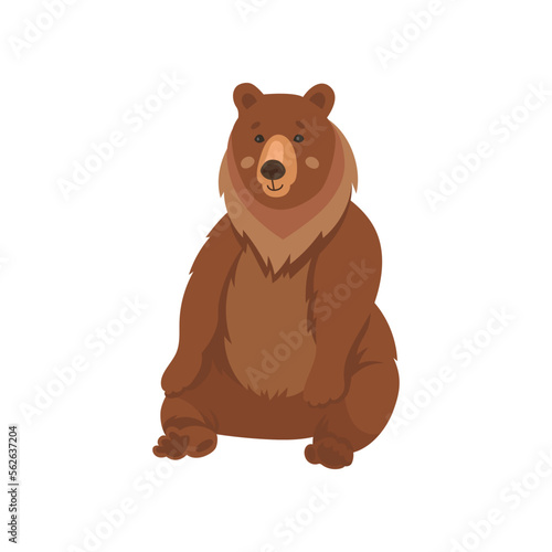 Wild brown bear sitting flat vector illustration. Drawing of cute comic grizzly bear cartoon character isolated on white background. Wildlife, nature concept