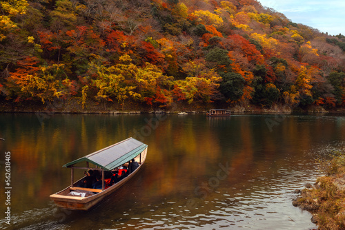 Traditional touris travel boat on the river in Kyoto city with autumn season background