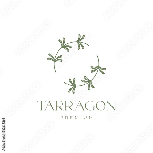 tarragons plant leaves circle food spice and health benefits logo design vector icon illustration template