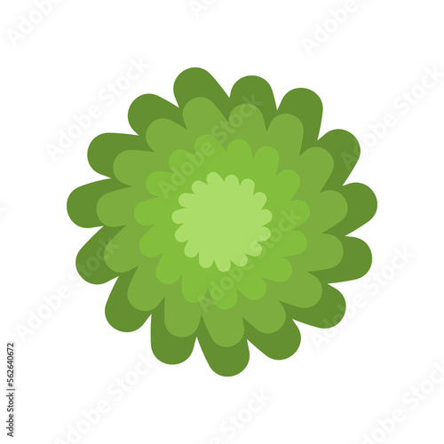 Top view of green bush or tree vector illustration. Plant element for garden, forest or park plan or map isolated on white background. Ecology, landscape design concept