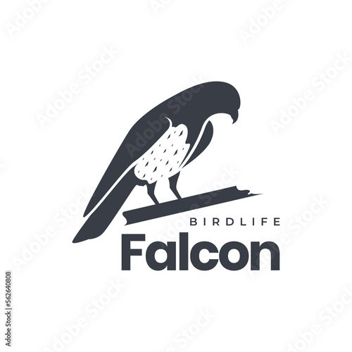 wildlife bird perched hunting prey falcon isolated logo design vector icon illustration template