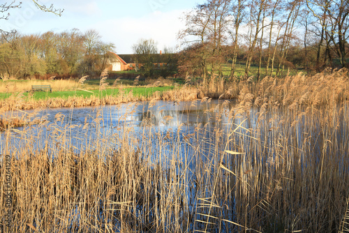 Idyllic pond in Thyholm, Jylland, Denmark