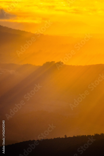 Wallpaper Mural sun rays in the morning Torontodigital.ca