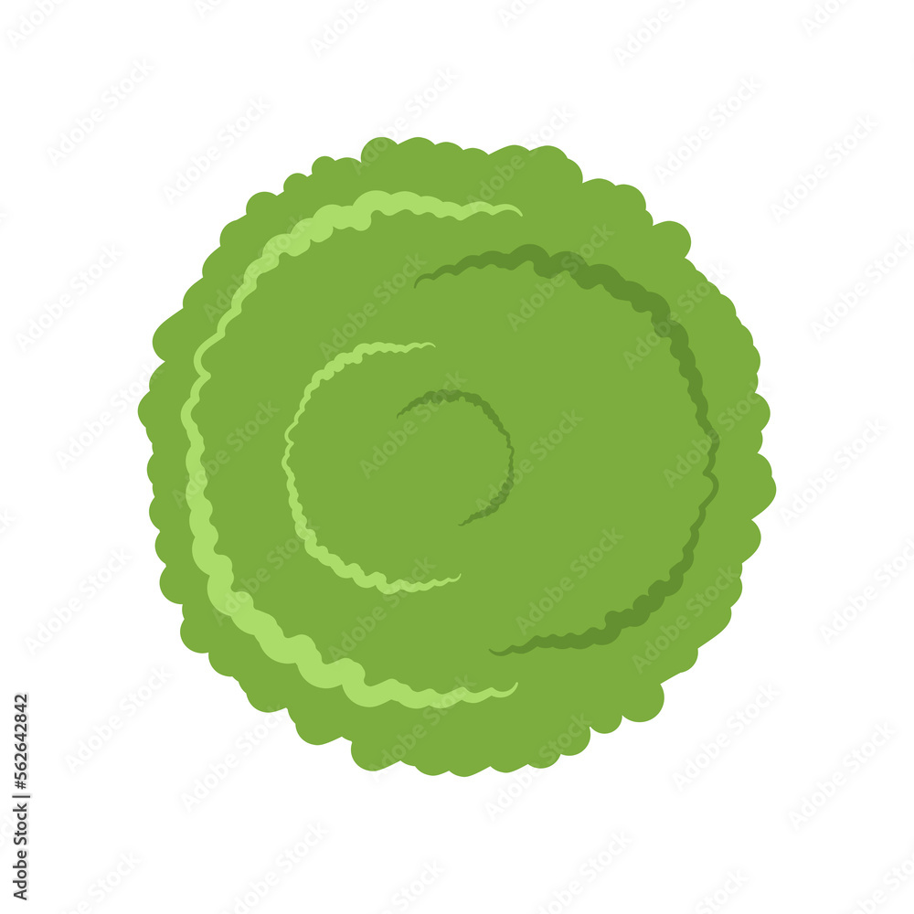 Top view of green lawn vector illustration. Plant element for garden, forest or park plan or map isolated on white background. Ecology, landscape design concept Top view of green lawn vector illustration. Plant element for garden, forest or park plan or map isolated on white background. Ecology, landscape design concept