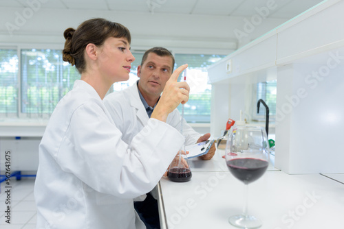 experts making tests in winery laboratory
