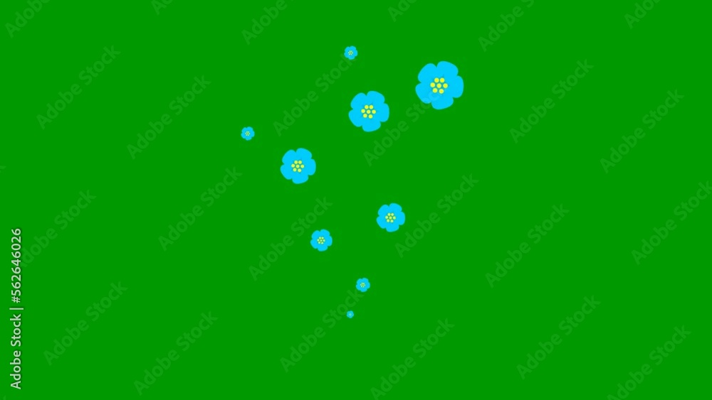 Animated blue beautiful flowers fly from bottom to top. A fountain of flying flowers. Looped video. Concept of spring. Vector illustration isolated on the green background. Animated blue beautiful flowers fly from bottom to top. A fountain of flying flowers. Looped video. Concept of spring. Vector illustration isolated on the green background.