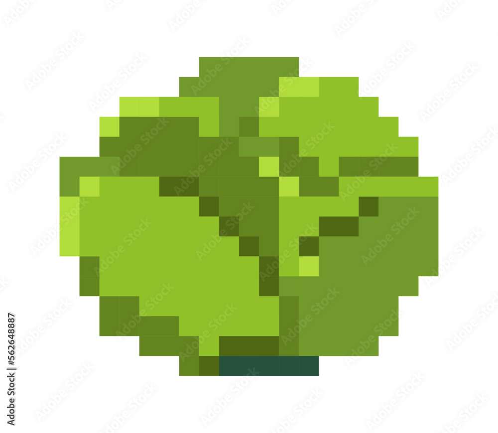 Pixel cabbage vegetable, product and greenery