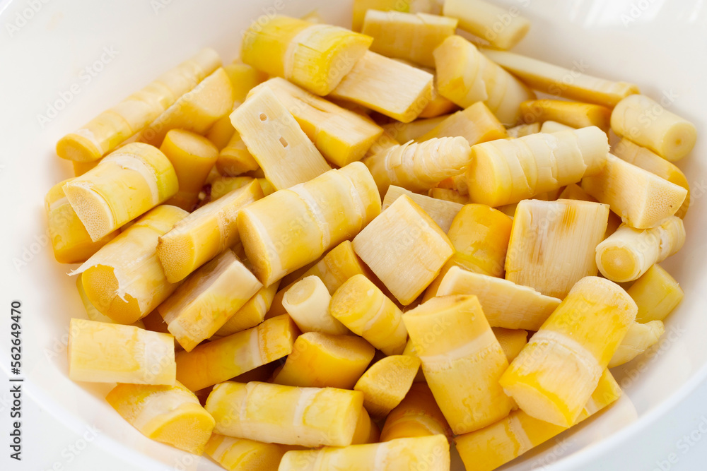 Bamboo shoots on white background. Bamboo shoots on white background.