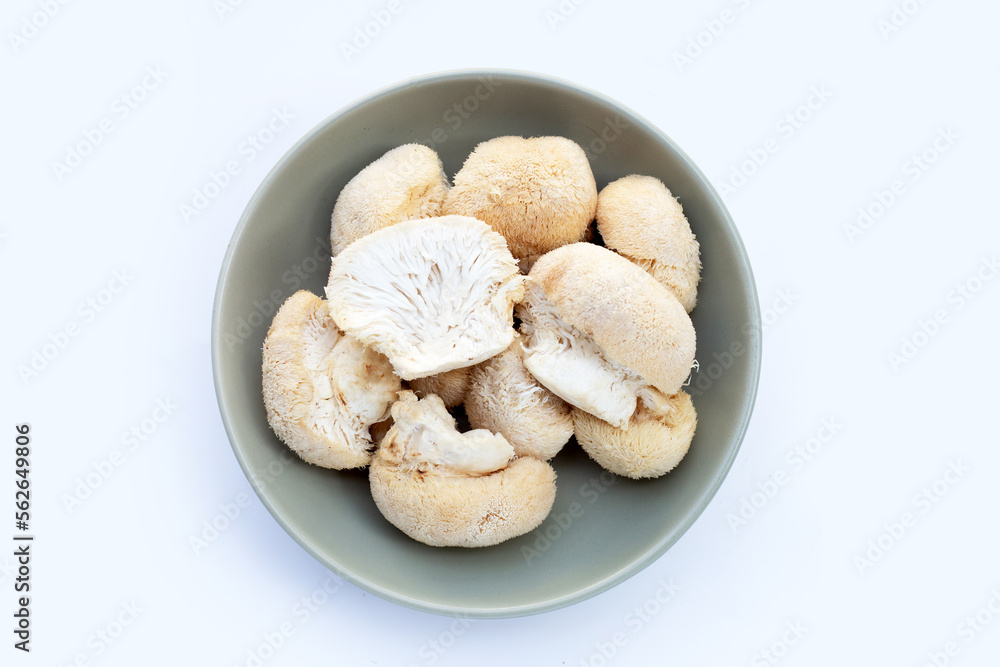 Fresh lion's mane mushroom on white background Fresh lion's mane mushroom on white background