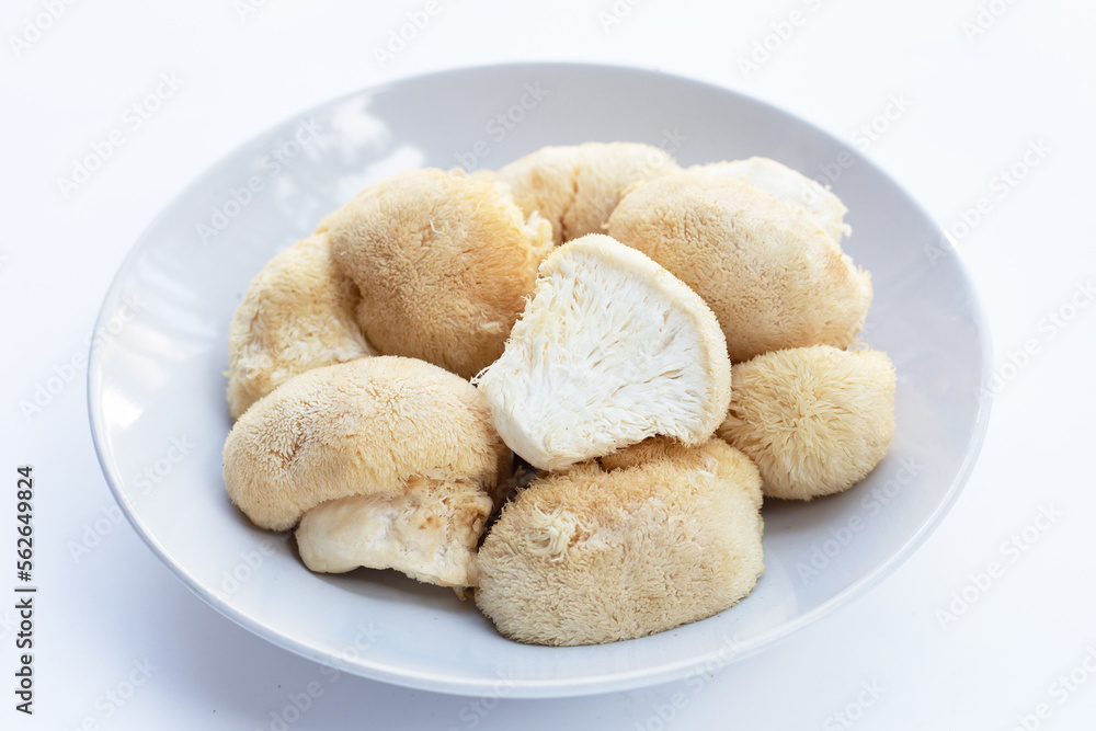 Fresh lion's mane mushroom on white background Fresh lion's mane mushroom on white background