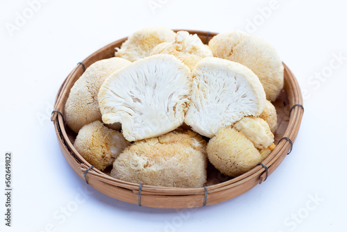 Fresh lion's mane mushroom on white background