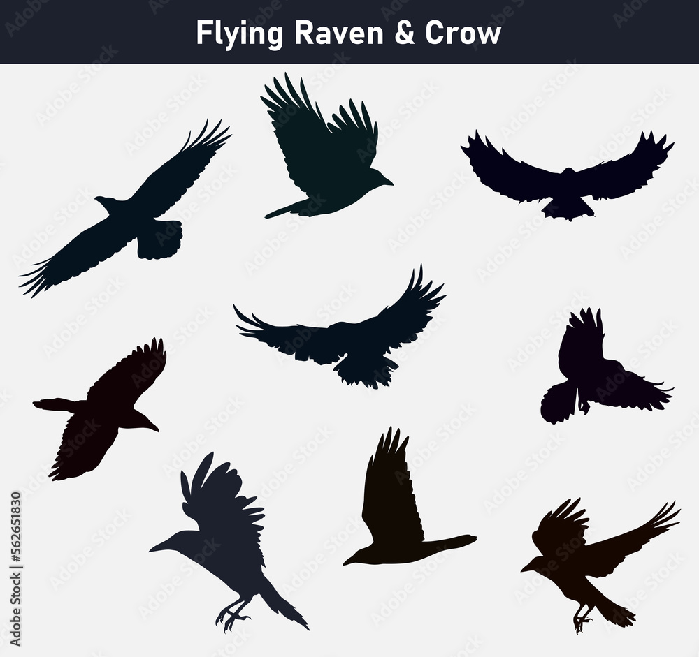 Flying Wild Raven Crow Birds Icon Set