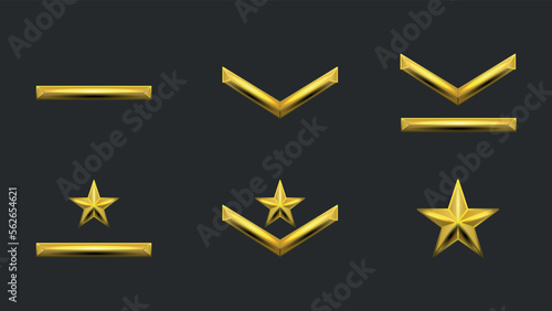Rank Award Level Chevrons for Games. Army Insignia.