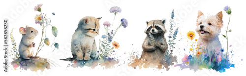 Safari Animal set mouse, cat, raccoon, dog in watercolor style. Isolated vector illustration