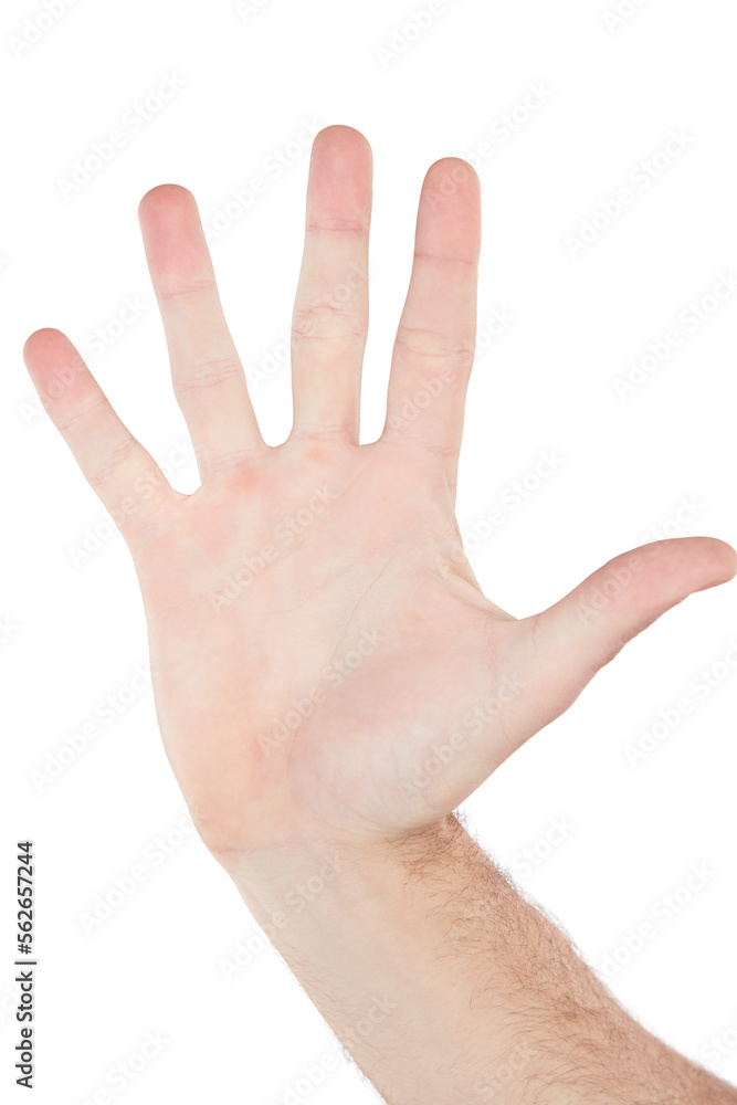 Closeup hand, palm and high five by white background with sign language, communication and stop warning. Isolated hand sign, wave and hello with fingers for friendly greeting, support or motivation Closeup hand, palm and high five by white background with sign language, communication and stop warning. Isolated hand sign, wave and hello with fingers for friendly greeting, support or motivation