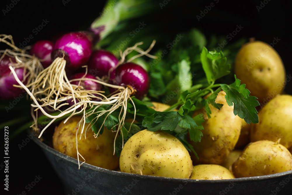 fresh vegetables on the dark background
