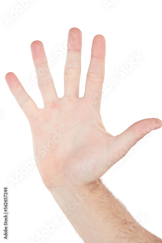 Closeup hand, palm and high five by white background with sign language, communication and stop warning. Isolated hand sign, wave and hello with fingers for friendly greeting, support or motivation