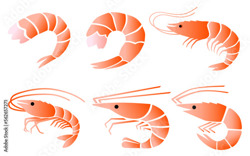Shrimp Graphic Source Vector Icon,
새우 그래픽소스 벡터아이콘