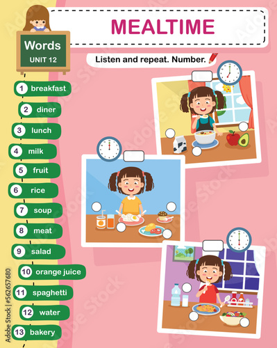 education vocabulary mealtime vector illustration