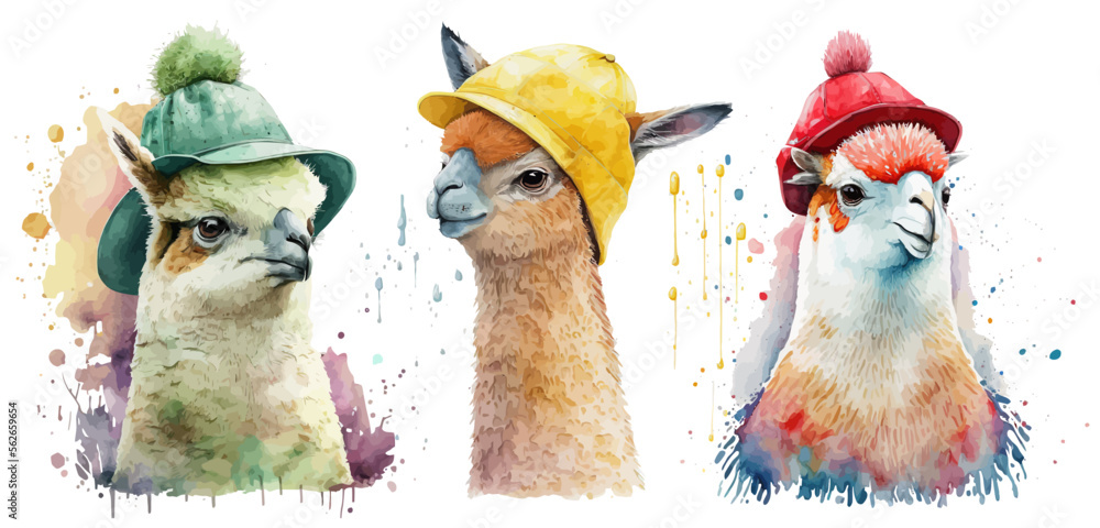 Fototapeta premium Safari Animal set llamas in colorful hats in watercolor style. Isolated vector illustration