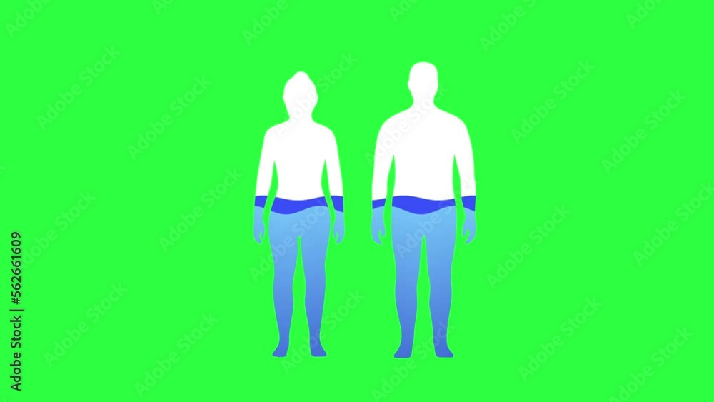 Water Rate In The Human Body Animation on chroma key green screen background. Woman and Man Silhouettes Filled With Water. Healthcare Concept. 4K Water Rate In The Human Body Animation on chroma key green screen background. Woman and Man Silhouettes Filled With Water. Healthcare Concept. 4K