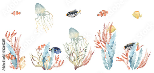 Watercolor hand drawn set, colorful illustration of sea underwater plants, fish, seaweeds, ocean coral reef. Aquarium decor collection. Wildlife marine floral elements isolated on white background.