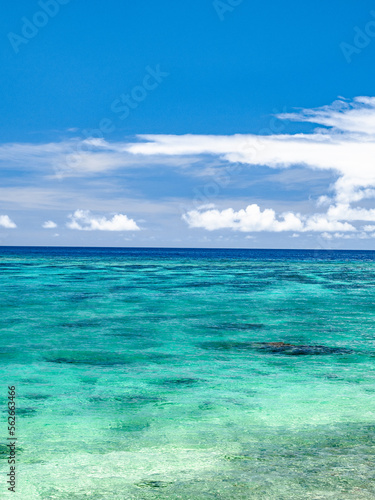 The crystal-clear waters of Okinawa