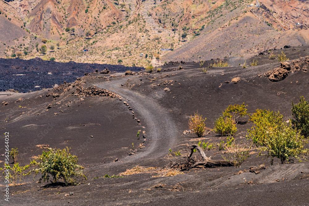 Dust road through lava rocks and plants through the crater of Pico do ...