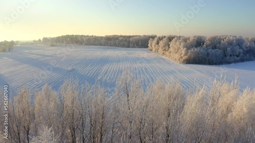 Flying towards a snowy field covered in tire tracks photo