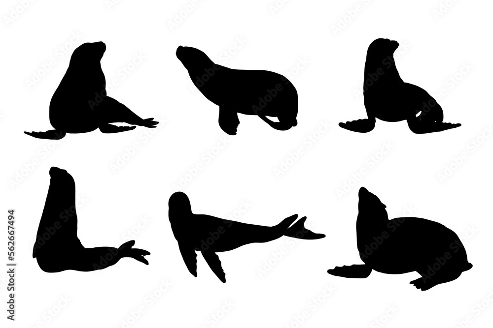 Set of silhouettes of sea lions vector design Set of silhouettes of sea lions vector design